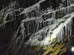 -怀托摩萤火虫洞