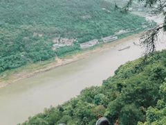 -南山植物园