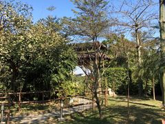 -陶缘一号·四季缘·老字号顺德菜·户外婚礼家宴(西滘店)