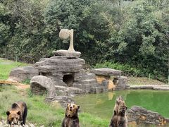 -杭州动物园