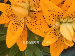 -中国农业博物馆