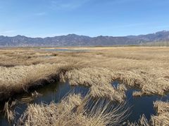 -野鸭湖国家湿地公园
