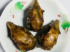 -邓氏兔头