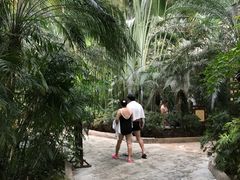 -龙达温泉生态城