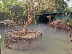 -呀路古热带植物园