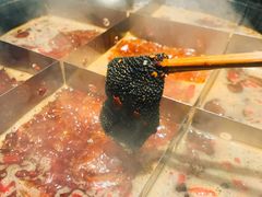 屠场鲜毛肚-董眼镜火锅(洪崖洞总店)