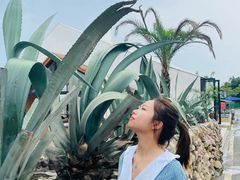 -三圣花乡旅游区