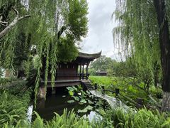 -桂湖森林公园