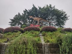 -自贡恐龙博物馆
