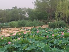 -南翠屏公园