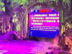-广州长隆国际大马戏