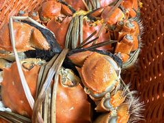 -蟹村草堂·苏式园林人文农家·大闸蟹