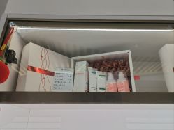 -标婷维生素E乳