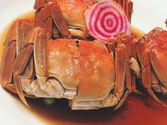 -新吉士·上海菜(浦东LCM置汇旭辉店)