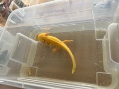 -爱乐恩幼儿园(亦庄园店)