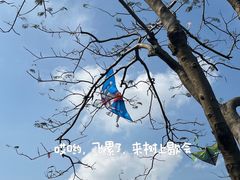 -顺峰山公园