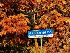 -上海海湾国家森林公园