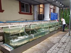 -海岸风情蒸汽海鲜自助餐厅(家宴金手勺店)