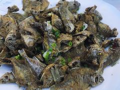 -黄牛肉馆·皖南土菜