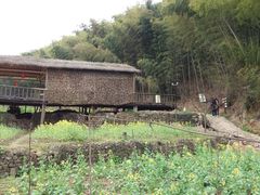 -宁波浙东大竹海景区