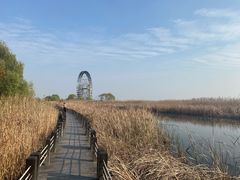 -苏州太湖湖滨国家湿地公园