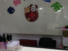 -暖阳宠物医院·犬猫康复中心·骨科