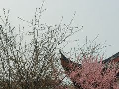 -堤角公园