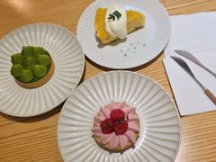 -猫里有甜