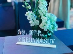 -苏州利星奔驰4S店(吴中店)
