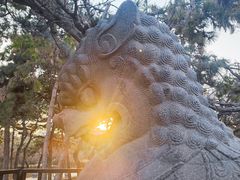 -北陵公园
