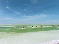-察尔汗盐湖