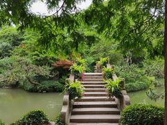 -上海醉白池公园