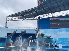 -石林冰雪海洋世界