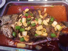 -沈胖子音乐烤吧·炒菜·龙虾(环城东路店)