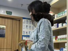 -博特宠物医院24h犬猫全科.骨科·异宠
