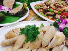 捞叶文昌鸡-刘记糟粕醋海鲜烧烤
