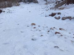 -大平台龙居瀑布旅游区