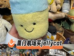 -厦门高崎国际机场-T3航站楼