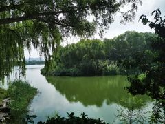 -大兴滨河森林公园