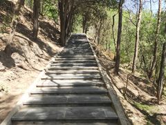 -仁寿山