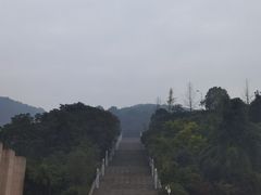 -铁山坪森林公园