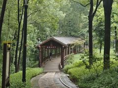 -重庆彩云湖湿地公园