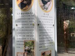 -苏州太湖国家湿地公园