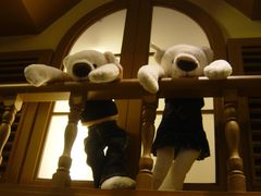 -济州岛泰迪熊博物馆