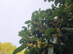 -南京工程学院(江宁校区)