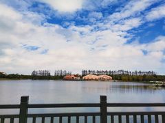 -上海长兴岛郊野公园