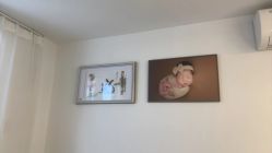 -挚纯baby儿童摄影(庐阳区店)