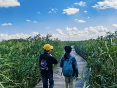 -盐城丹顶鹤湿地生态旅游区