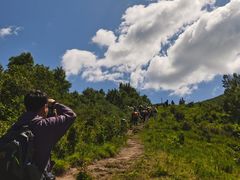 -灵山