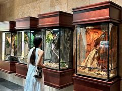 -帕帕拉兹宠物(亚洲旗舰店)